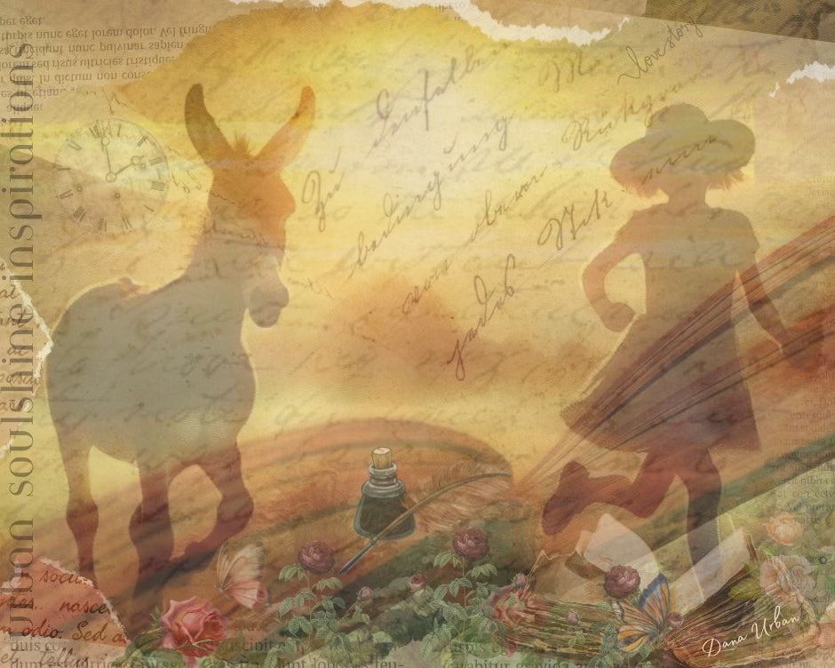 🩵The Pages Of Your Heart🩵