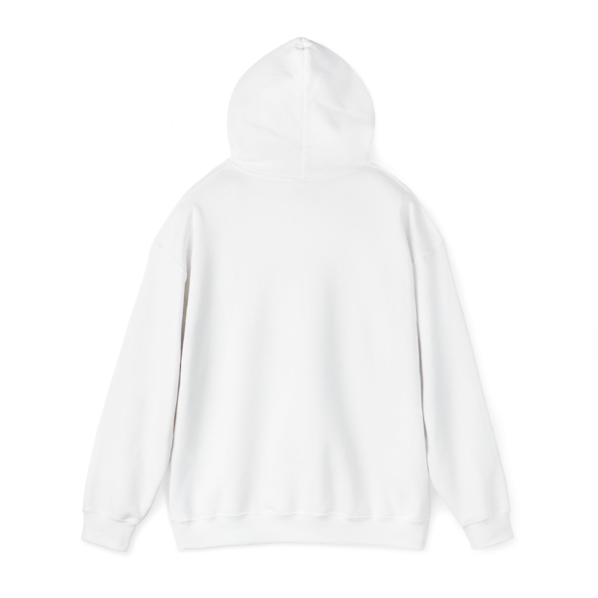 Urban SoulShine & co Hoodie Seas The Day Heavy Blend™ Hoodie (Unisex)