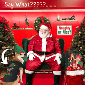 In a festively decorated room, Santa Claus is seated on a green chair while a dog dressed in Urban SoulShine & co's "I Ate the Elf On the Shelf" holiday pet shirt looks adorably elf-like. The words "Naughty or Nice?" are displayed on the wall, surrounded by holiday decorations, including a small tree and presents.